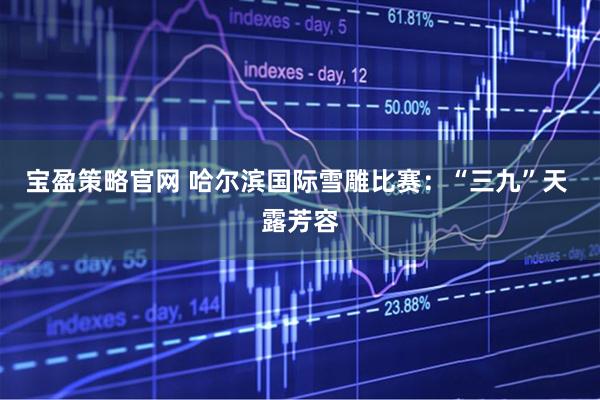 宝盈策略官网 哈尔滨国际雪雕比赛：“三九”天 露芳容