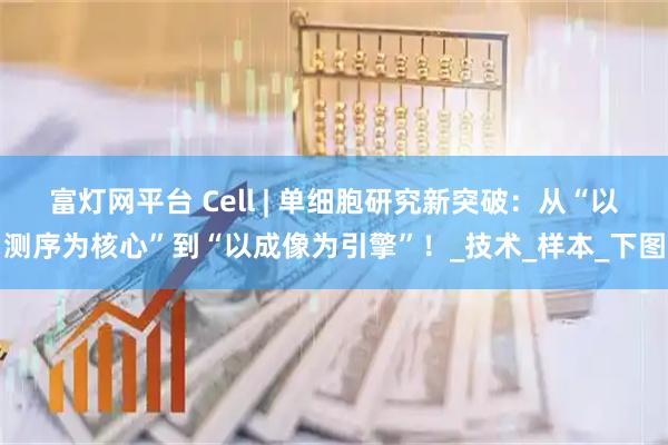 富灯网平台 Cell | 单细胞研究新突破:从“以测序为核心”到“以成像为引擎”!_技术_样本_下图