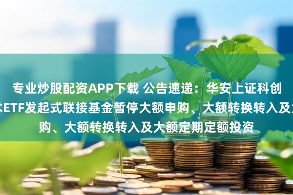 专业炒股配资APP下载 公告速递:华安上证科创板新一代信息技术ETF发起式联接基金暂停大额申购、大额转换转入及大额定期定额投资