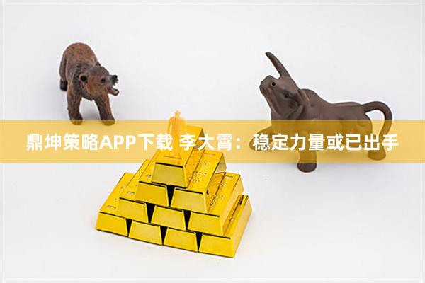 鼎坤策略APP下载 李大霄:稳定力量或已出手